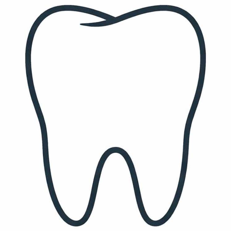 Odontología veterinaria